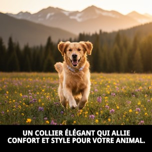 Collier Cœurs T-4 pour Animaux de Compagnie - Style et Confort 2