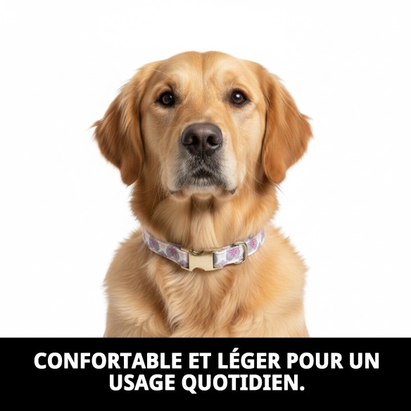 Collier Cœurs T-5 pour Chiens 40-50 cm - Style et Confort