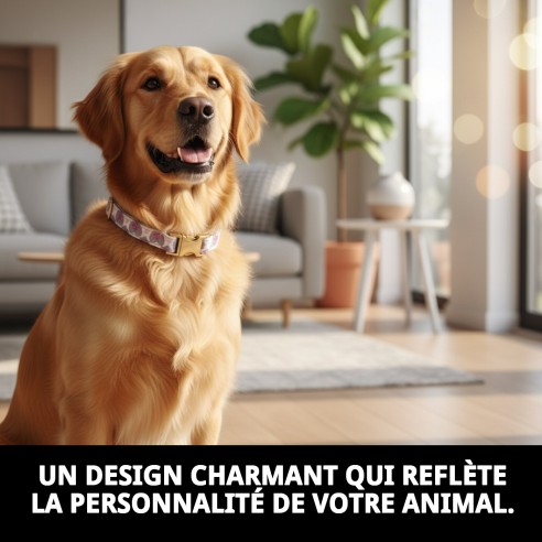Collier Cœurs T-6 : Style et Confort pour votre Animal de Compagnie
