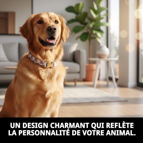 Collier Cœurs T-6 : Style et Confort pour votre Animal de Compagnie