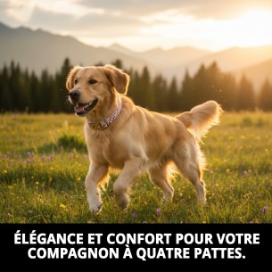 Collier Topitos T-3 : Style et Confort pour votre Animal de Compagnie 2