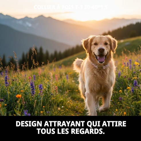 Collier Topitos T-3 : Style et Confort pour votre Animal de Compagnie