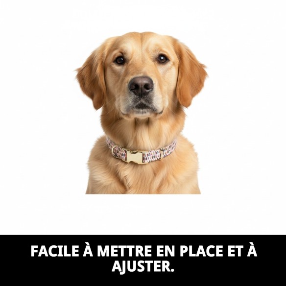 Collier Topitos T-4 pour Chiens 35-45 cm - Style et Confort
