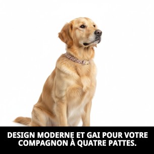 Collier Topitos T-6 : Élégance et confort pour votre animal de compagnie. 2