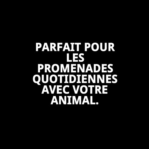 Collier Topitos T-6 : Élégance et confort pour votre animal de compagnie.