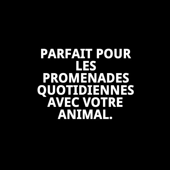 Collier Topitos T-6 : Élégance et confort pour votre animal de compagnie.