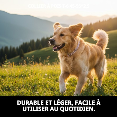 Collier Topitos T-6 : Élégance et confort pour votre animal de compagnie.