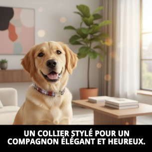 Collier Écossais T-1 pour Animaux de Compagnie - Style et Confort 2