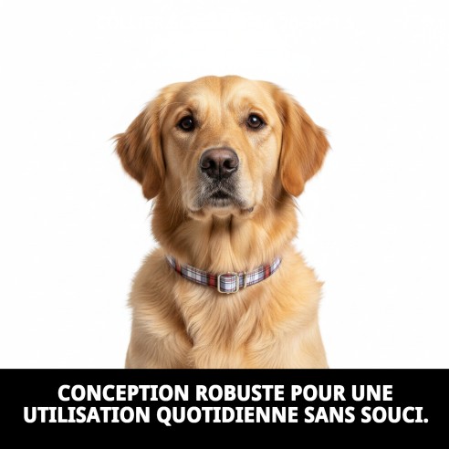 Collier Écossais T-1 pour Animaux de Compagnie - Style et Confort