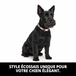 Collier Écossais T-2 : Style et Confort pour Votre Animal de Compagnie 2
