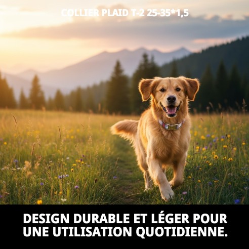 Collier Écossais T-2 : Style et Confort pour Votre Animal de Compagnie