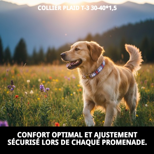 Collier Écossais T-3 : Style et Confort pour votre Animal de Compagnie