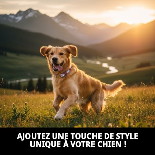 Collier Écossais T-4 pour Animaux de Compagnie 35-45 cm - Style Unique 2