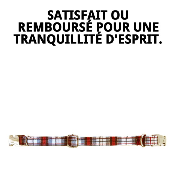 Collier Écossais T-4 pour Animaux de Compagnie 35-45 cm - Style Unique