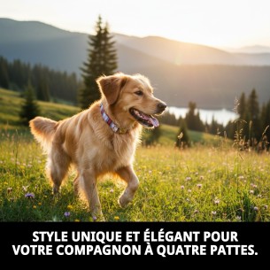 Collier Écossais T-5 : Style et Confort pour votre Animal de Compagnie 2