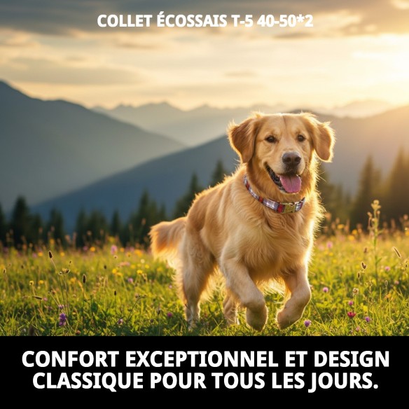 Collier Écossais T-5 : Style et Confort pour votre Animal de Compagnie