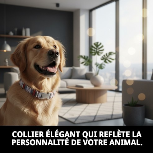 Collier Écossais T-6 : Style et Confort pour votre Animal de Compagnie