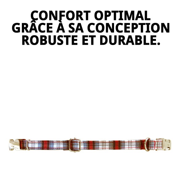 Collier Écossais T-6 : Style et Confort pour votre Animal de Compagnie