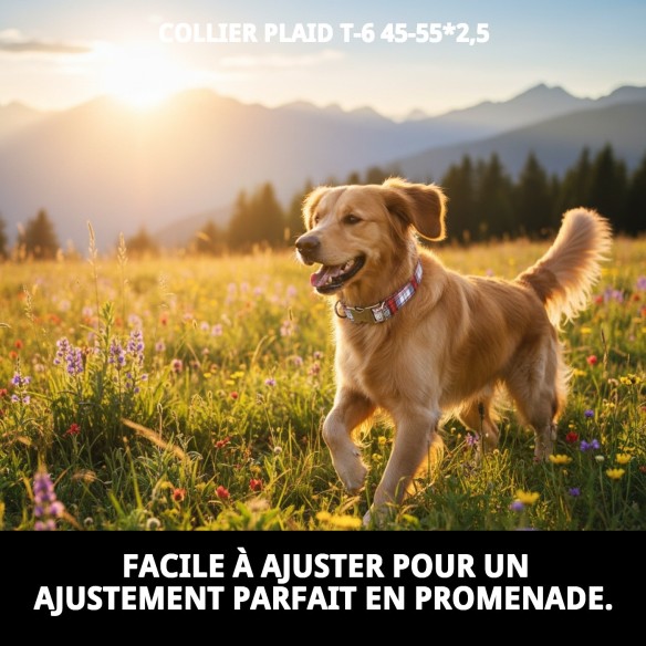 Collier Écossais T-6 : Style et Confort pour votre Animal de Compagnie