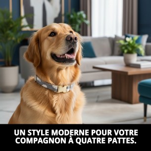 Collier Nuages Gris T-1 : Style et Confort pour votre Animal de Compagnie 2