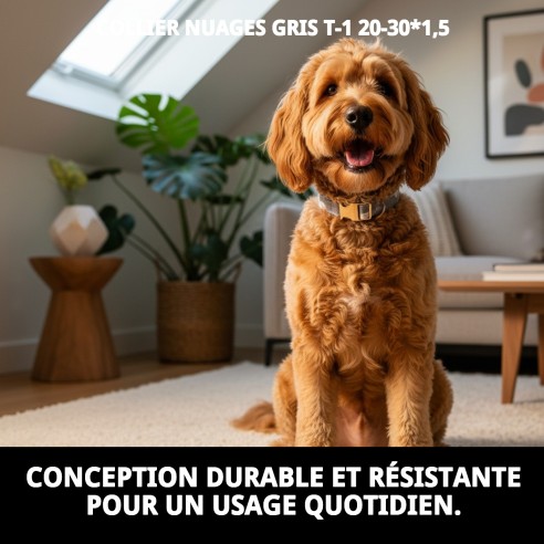 Collier Nuages Gris T-1 : Style et Confort pour votre Animal de Compagnie