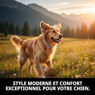 Collier Nuages Gris T-2 : Style et Confort pour votre Animal de Compagnie 2