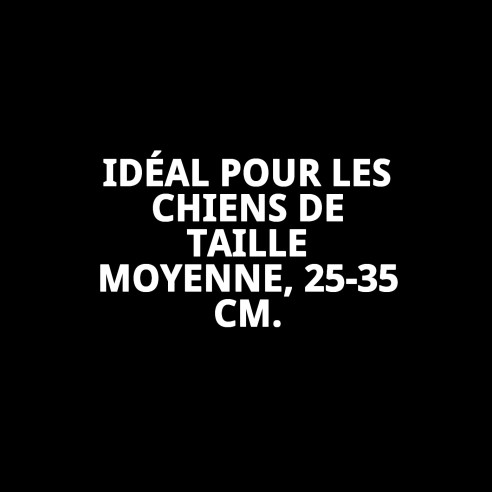 Collier Nuages Gris T-2 : Style et Confort pour votre Animal de Compagnie