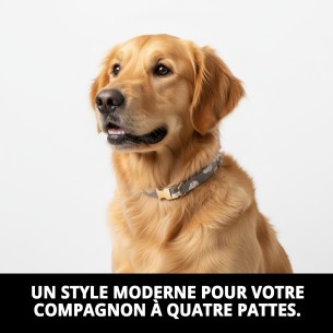 Collier Nuages Gris T-3 pour Chiens 30-40 cm - Confort et Style 2