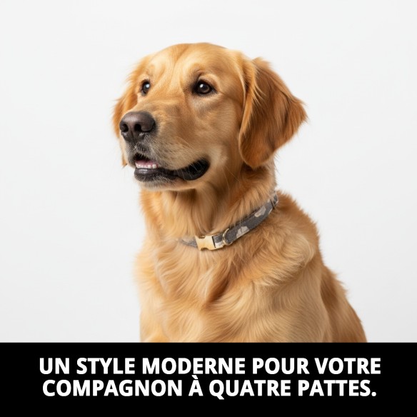 Collier Nuages Gris T-3 pour Chiens 30-40 cm - Confort et Style