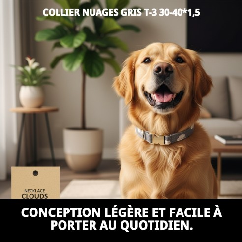 Collier Nuages Gris T-3 pour Chiens 30-40 cm - Confort et Style