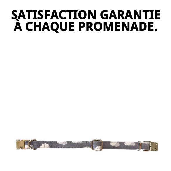 Collier Nuages Gris T-3 pour Chiens 30-40 cm - Confort et Style