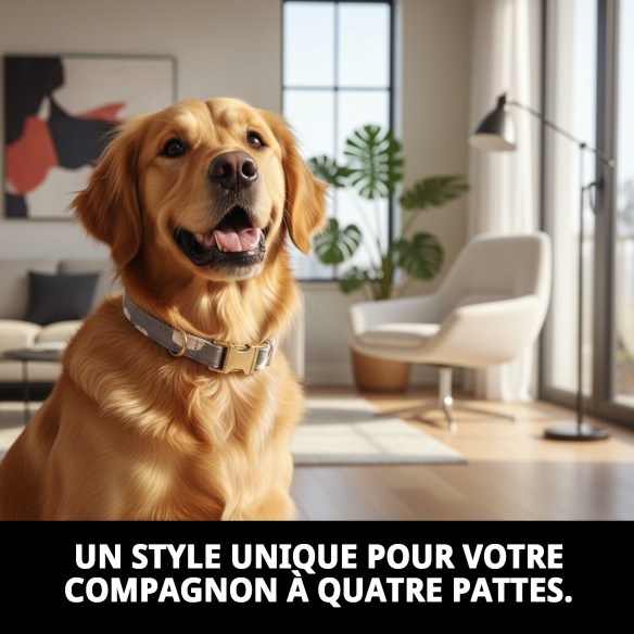 Collier Nuages Gris T-4 : Style et Confort pour votre Animal de Compagnie