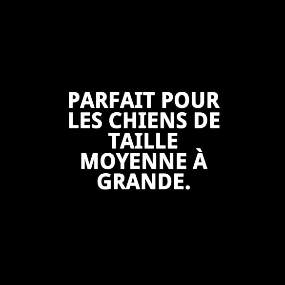 Collier Nuages Gris T-4 : Style et Confort pour votre Animal de Compagnie