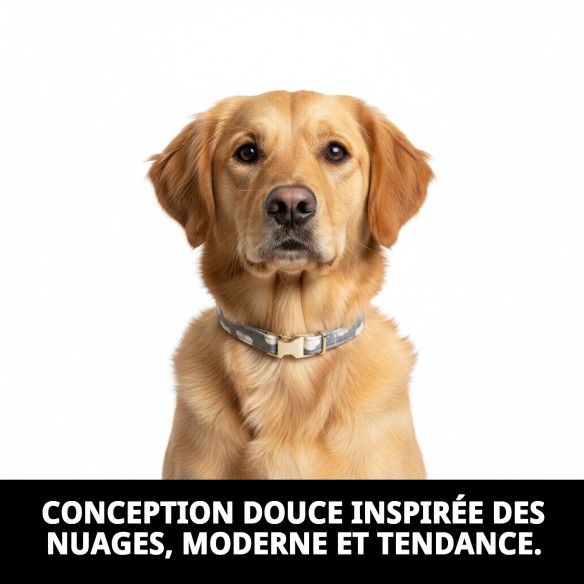 Collier Nuages Gris T-4 : Style et Confort pour votre Animal de Compagnie