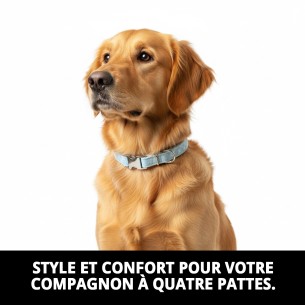 Collier Gaviotas T-1 : Style et confort pour votre animal de compagnie 2