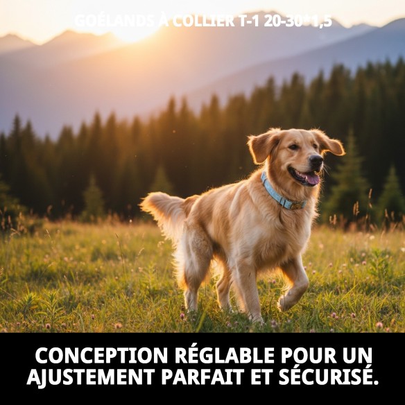 Collier Gaviotas T-1 : Style et confort pour votre animal de compagnie