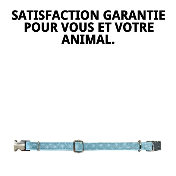 Collier Gaviotas T-1 : Style et confort pour votre animal de compagnie