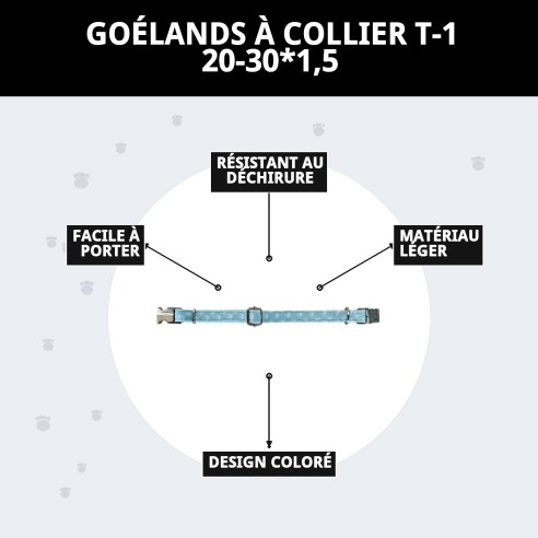 Collier Gaviotas T-1 : Style et confort pour votre animal de compagnie