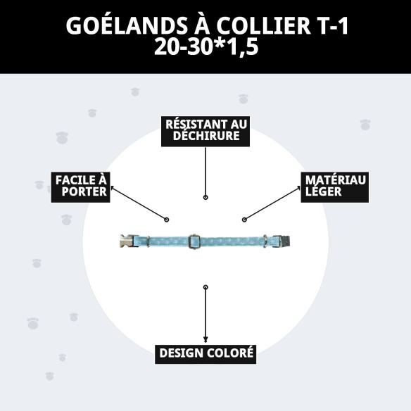 Collier Gaviotas T-1 : Style et confort pour votre animal de compagnie