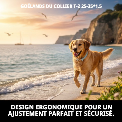 Collier Gaviotas T-2 : Style et Confort pour votre Animal de Compagnie