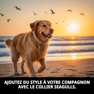 Collier Gaviotas T-3 : Style et Confort pour votre Animal de Compagnie 2
