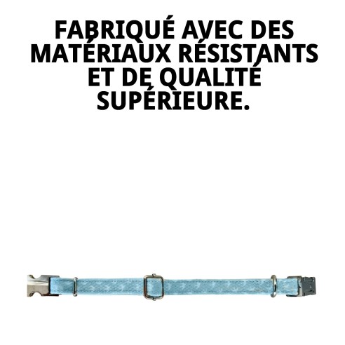 Collier Gaviotas T-3 : Style et Confort pour votre Animal de Compagnie