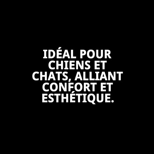 Collier Gaviotas T-3 : Style et Confort pour votre Animal de Compagnie