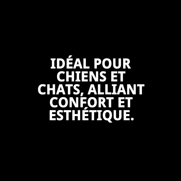 Collier Gaviotas T-3 : Style et Confort pour votre Animal de Compagnie