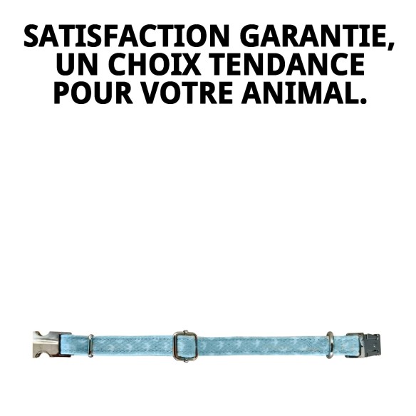 Collier Gaviotas T-3 : Style et Confort pour votre Animal de Compagnie