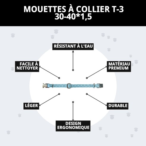 Collier Gaviotas T-3 : Style et Confort pour votre Animal de Compagnie