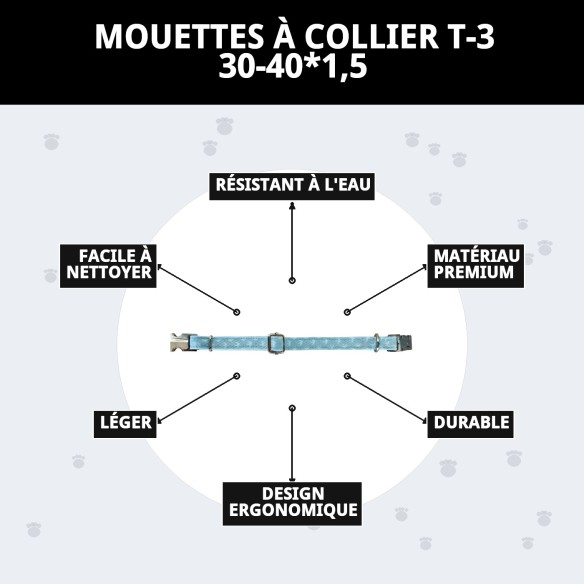 Collier Gaviotas T-3 : Style et Confort pour votre Animal de Compagnie