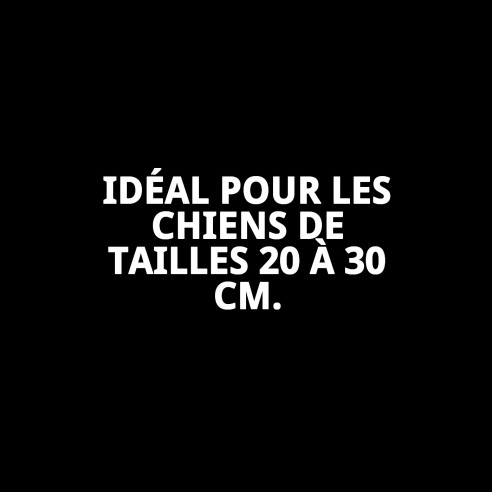 Collier Moly Lila T-1 pour Animaux de Compagnie - Taille 20-30 cm