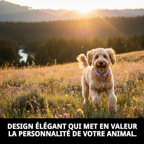 Collier Moly Lila T-1 pour Animaux de Compagnie - Taille 20-30 cm