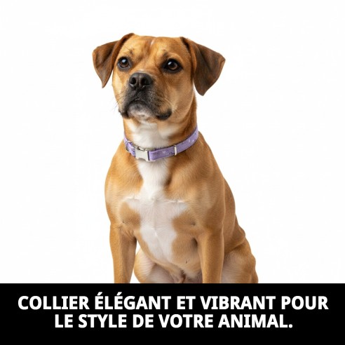 Collier Moly Lilas T-2 25-35 cm - Style et Confort pour Animaux de Compagnie